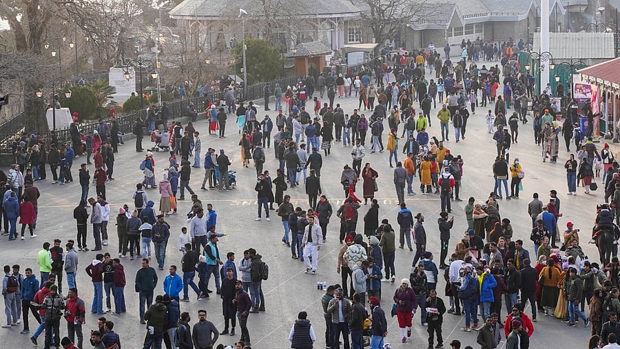 In Pics | Shimla swells with tourists after fresh snowfall, hotel bookings spike. Credit: PTI Photo