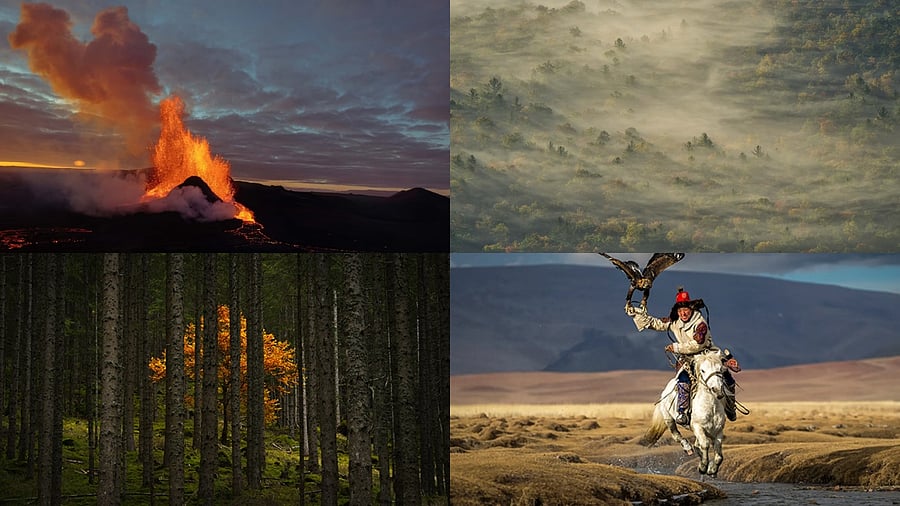 Spectacular photos from 2023 National Geographic 'Pictures of the Year' competition