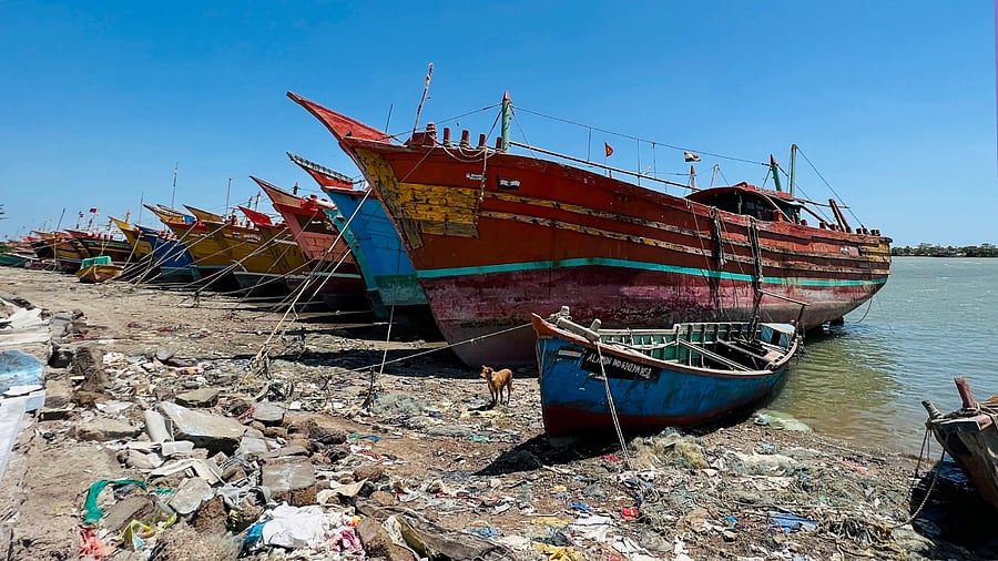 <div class="paragraphs"><p>Fishing boats docked. (Representational Image)</p></div>