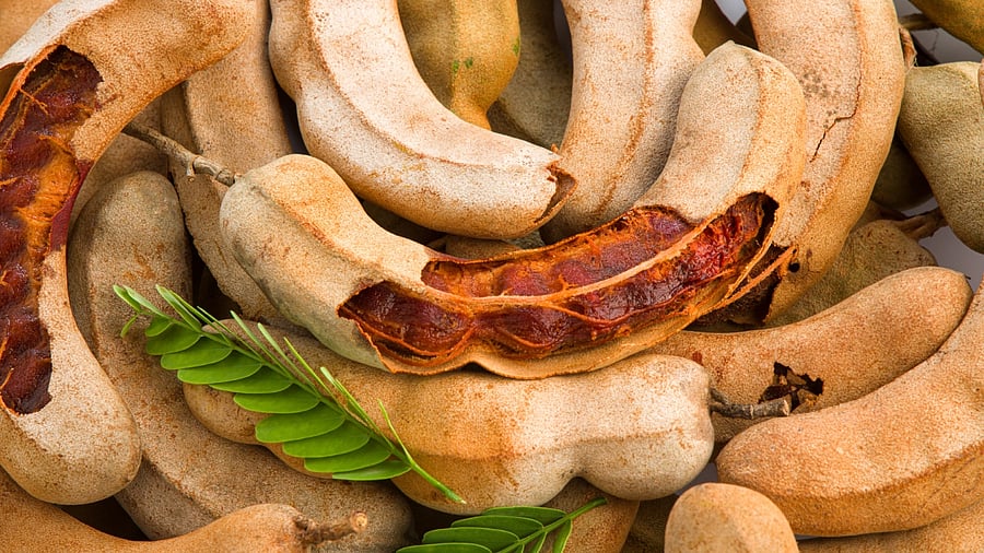 <div class="paragraphs"><p>Tamarind is also a flavour substitute for tomatoes. </p></div>
