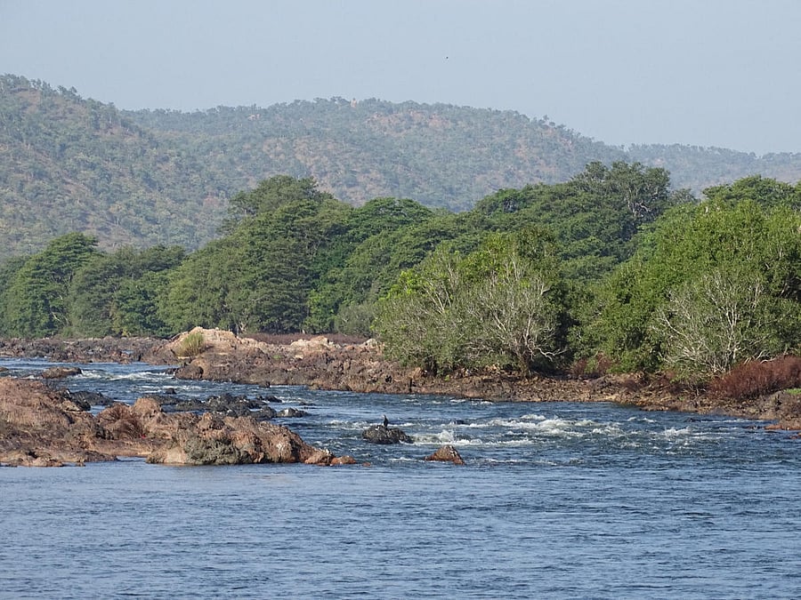 A view of the Cauvery Wildlife Sanctuary. Photos by Kunal Sharma and Joshua Barton