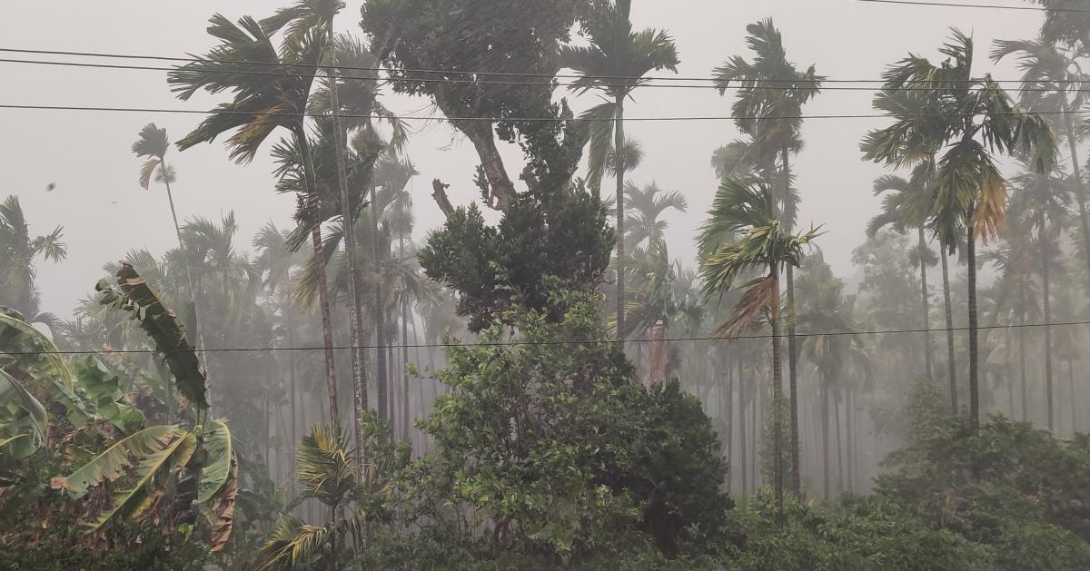 One dead as untimely rains in parts of Karnataka wreak havoc
