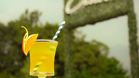 New cafe alert! Discover Dehradun's newest 24/7 rooftop haven, Elana Cafe