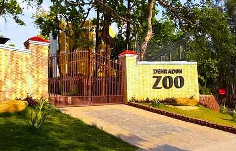 Malsi Deer Park or Dehradun Zoo is a must visit when in town