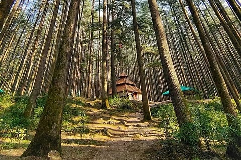 Devalsari: A Hidden Gem Just 75 Km From Dehradun!