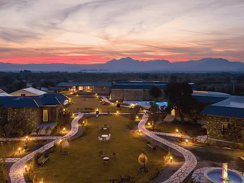 jüSTa Nature’s Nest