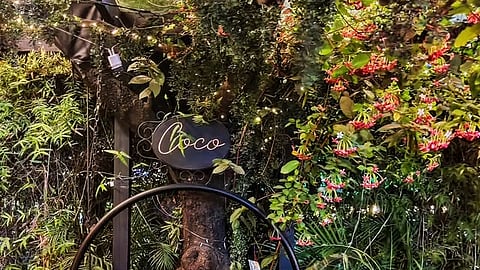 Coco Osteria Dehradun