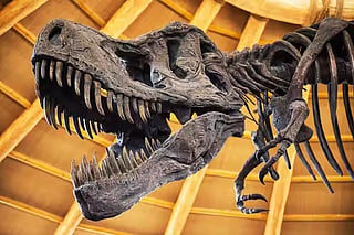 International Museum Day: 7 Best Museums in Dehradun