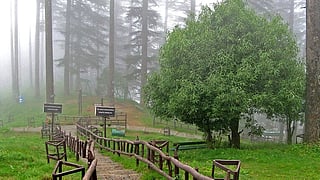 Ultimate Tourist's Guide to Dehradun: 15 Places You Can't Miss