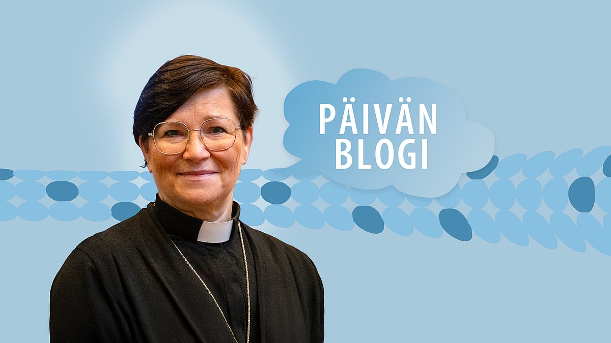 Seimen salaisuus - 17/2025