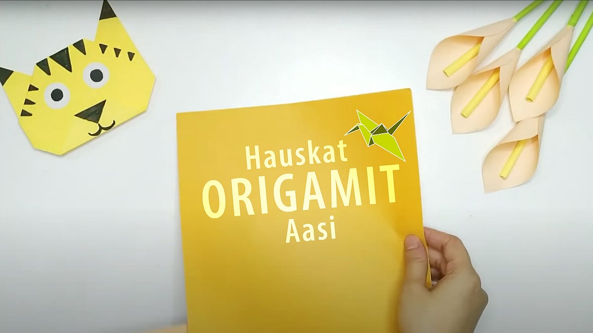 Hauskat origamit -videosarjassa aiheena aasi.