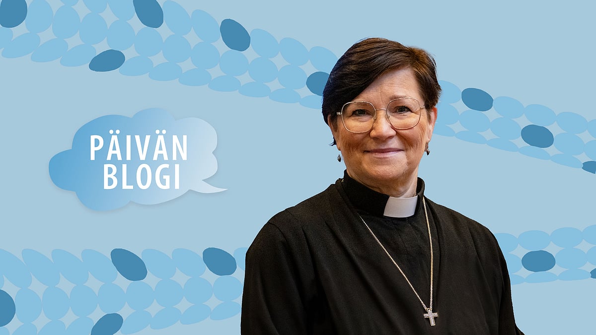 Sari Paavilainen - 16/2025