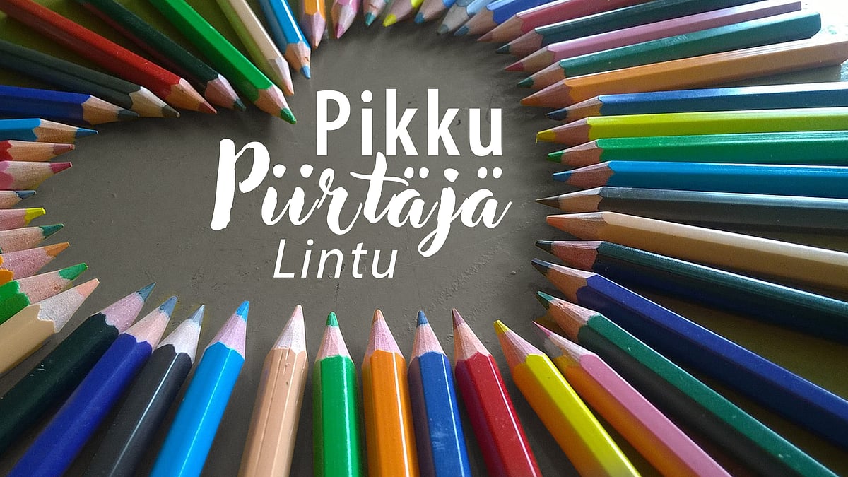 Pikkupiirtäjä-videosarjassa aiheena lintu.