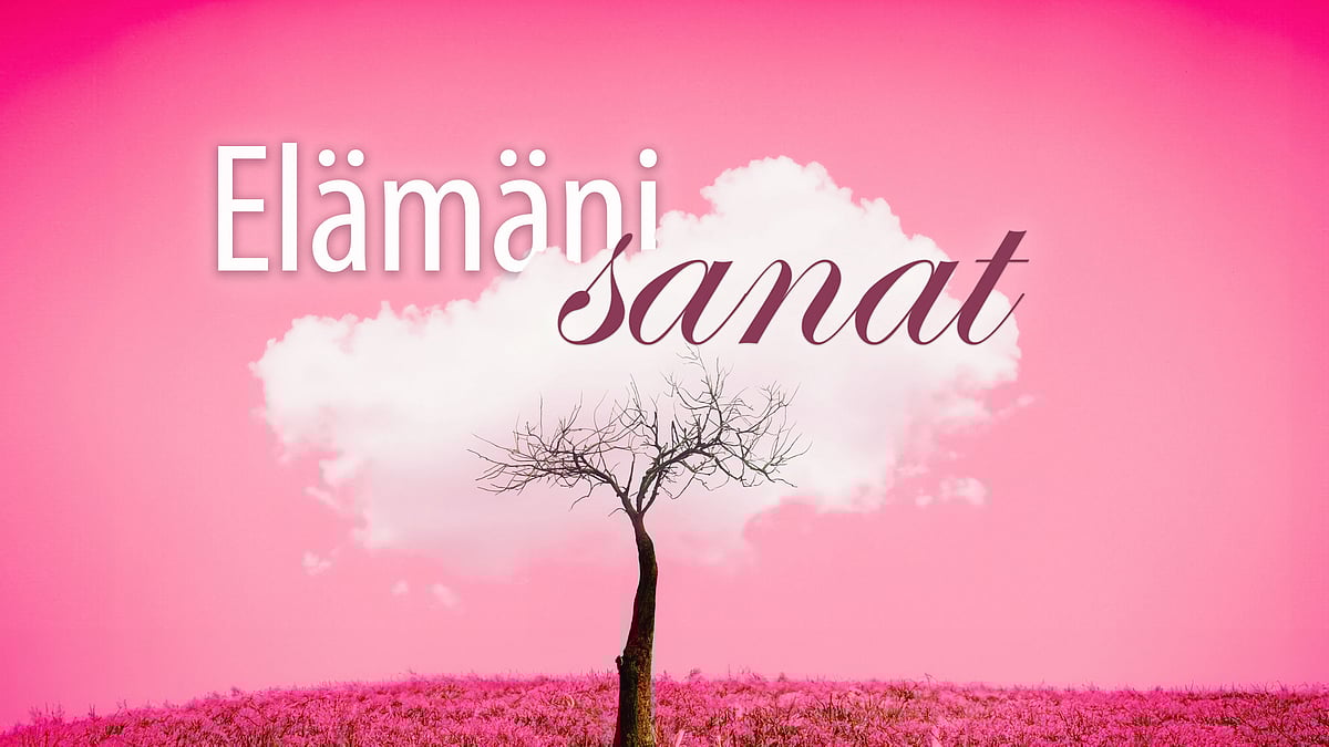 Jepa Lambert - 6/2025