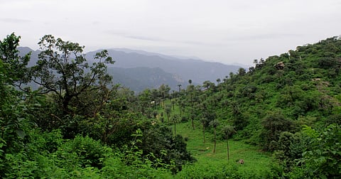 On World Environment Day 2025, PM Narendra Modi is all set to launch Aravalli range restoration project