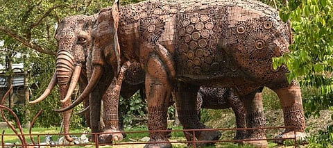 Noida’s Jungle Trail