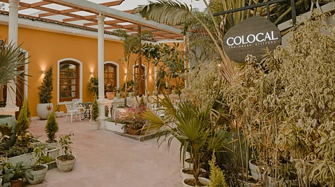 On world chocolate day, head to Colocal Chocolates for a chocolate tasting workshop