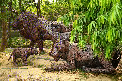 On September 25, the much-awaited Noida Jungle Trail will open its gates in Sector 94