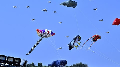 Delhi Kite Festival 2026