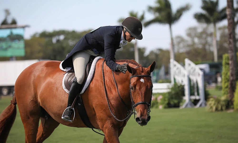 Discover the Best Horse Riding Clubs in Delhi for All Skill Levels