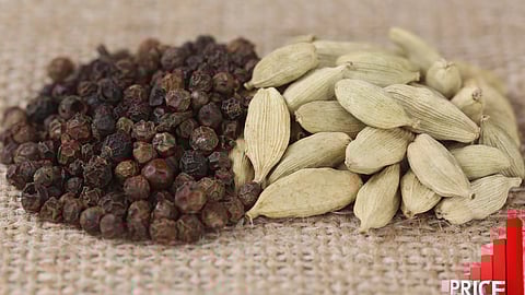 Cardamom Pepper price