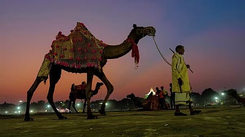 India’s tourism slowdown: Why foreign travellers are staying away