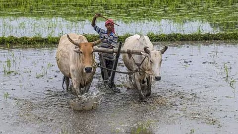 Farm initiatives get a new leg-up (Pic:Mint)