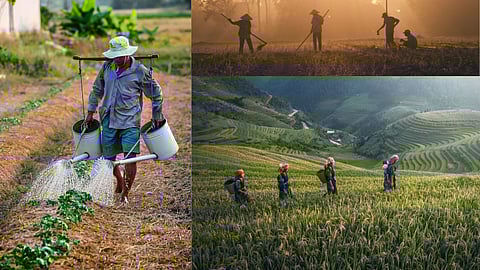 New farmers' ID from October (Pic: Canva)