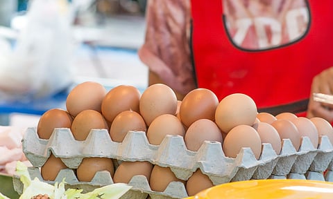 egg sale kerala