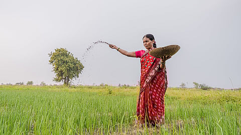 A Women Farmer doing farming 