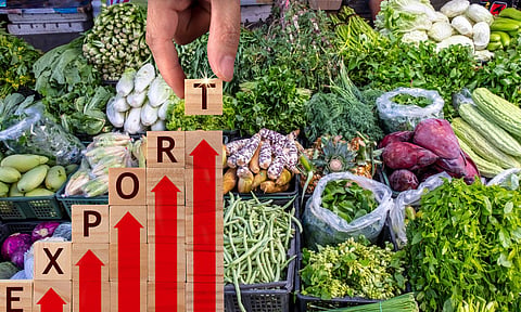 vegitable export