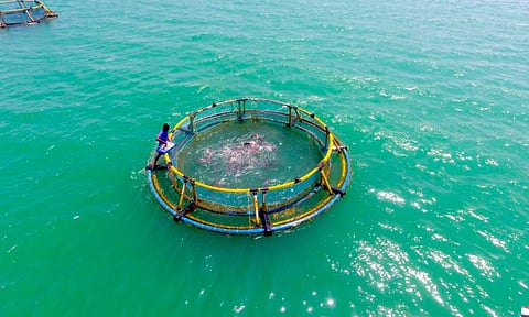 ₹2,500 കോടിയുടെ നിക്ഷേപവുമായി കേരള കമ്പനി ആന്ധ്രയിലേക്ക്, 500 ഏക്കറില്‍ എ.ഐ അക്വാപാര്‍ക്ക്, ഒരുങ്ങുക 10,000ത്തിലധികം തൊഴിലവസരങ്ങള്‍
