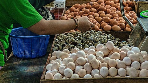 egg stall