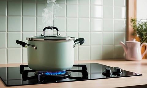 അടുക്കളയില്‍ എല്‍.പി.ജി ക്ഷാമം! പിഎന്‍ജി കണക്ഷന്‍ എടുത്തവര്‍ പേടിക്കണോ? കേരളത്തിലെ അവസ്ഥ ഇങ്ങനെ