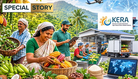 Illustration of Kerala farmers harvesting and sorting agricultural produce