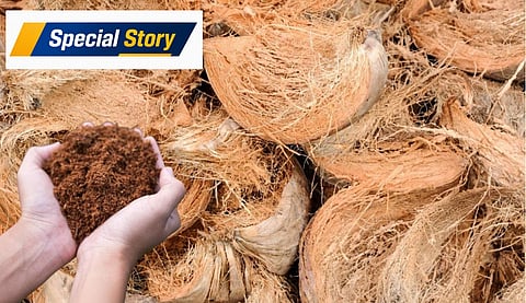 coir pith