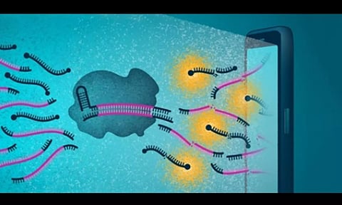 കോവിഡ് ടെസ്റ്റ് റിസള്‍ട്ട് 30 മിനിട്ടുകള്‍ക്കകം സ്മാര്‍ട് ഫോണില്‍; പുതിയ പഠനം