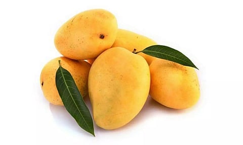 മാമ്പഴത്തിനും ഇ.എം.ഐ! ഇപ്പോള്‍ തിന്നാം, കാശ് പിന്നെ