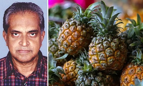 കേരളത്തില്‍ ചക്കയ്ക്കും മാങ്ങയ്ക്കും പൈനാപ്പിളിനും വില കിട്ടണോ? നോക്കുകൂലി ഇല്ലാതാക്കണം!