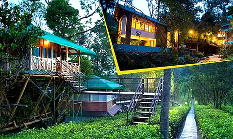 Dream Catcher Munnar and&nbsp; Mystic Mayapott Idukki