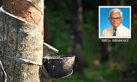 (modified from pixabay)