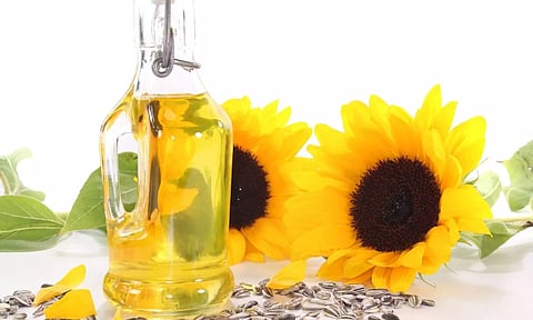 സൂര്യകാന്തി പൂക്കുന്നതും കാത്ത്...