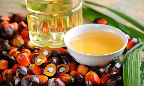 പാമോയില്‍ ഇനി വില കുറഞ്ഞ എണ്ണയല്ല, നേട്ടം സ്വന്തമാക്കാന്‍ പകരക്കാര്‍