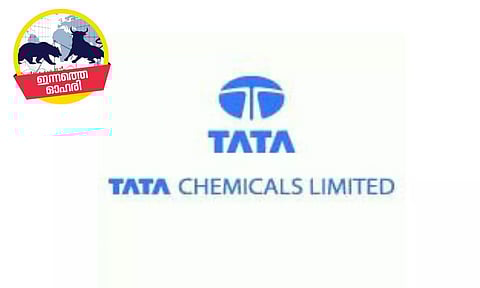 stock recommendation