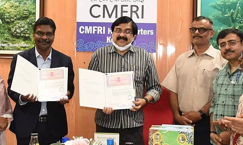 ഫാറ്റിലിവറിനെ ചെറുക്കാം; കടല്‍പായല്‍ ഉല്‍പന്നം വിപണിയിലെത്തിക്കാന്‍ സിഎംഎഫ്ആര്‍ഐ