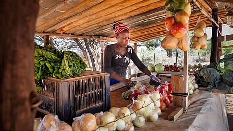 Image : Canva (ആഫ്രിക്കയിലെ തെരുവോര കച്ചവടക്കാർ)