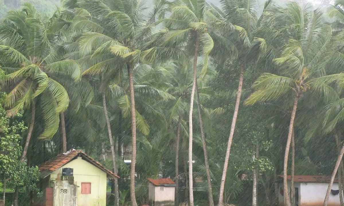 കാലവര്ഷം നേരത്തെയെത്തുന്നു: ആന്ഡമാനില് ഈയാഴ്ച തുടക്കം, കേരളത്തിലും പ്രതീക്ഷ