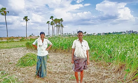 Indian Farmers