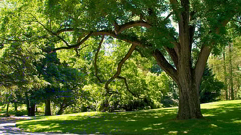 Image courtesy: canva