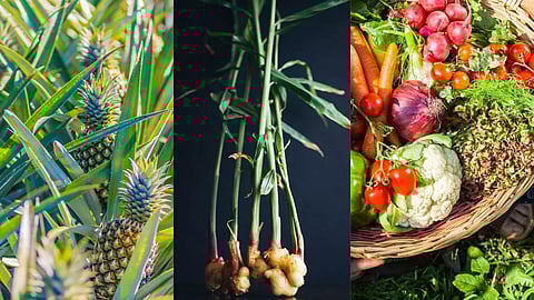 Image courtesy: canva